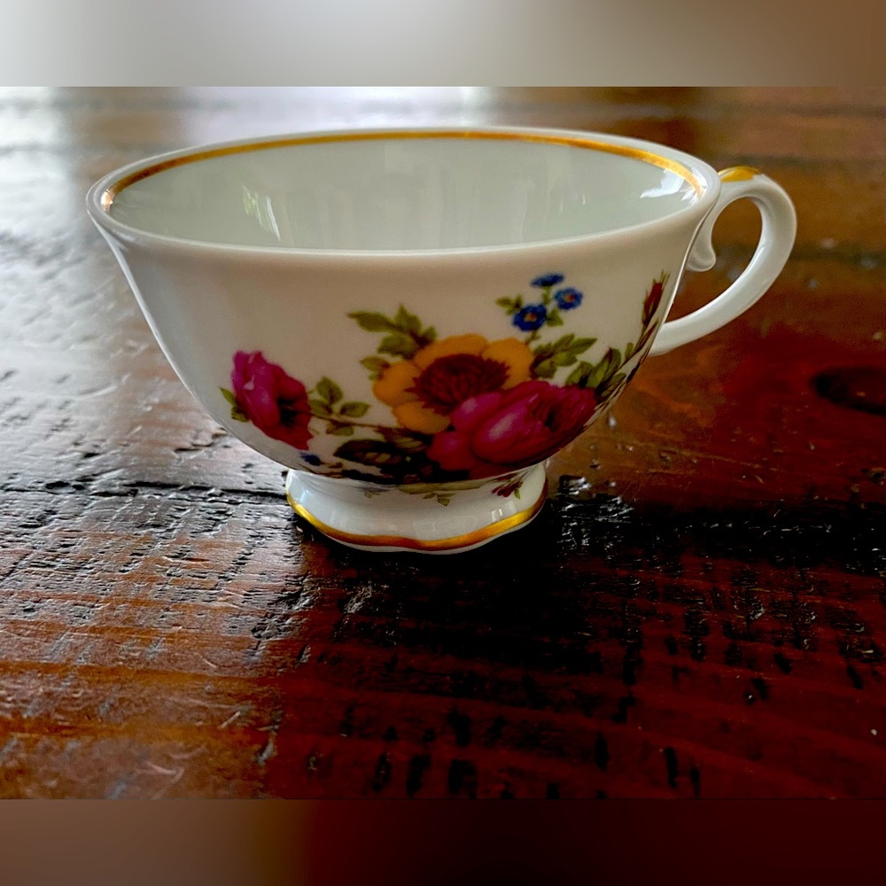 Vintage Reichenbach Germany dainty delicate China tea cup EC~